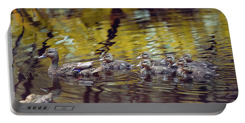 Mallard Portable Battery Charger featuring the photograph Duck Family by Michael Rauwolf