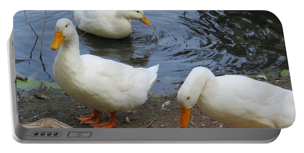 Ducks Portable Battery Charger featuring the photograph Duck Family by Raymond Fernandez