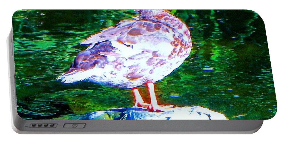 Birds Portable Battery Charger featuring the photograph Duck on River Rock by Andrew Lawrence