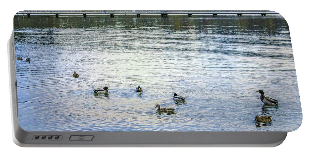 Animals Portable Battery Charger featuring the photograph Ducks on the lake by Anamar Pictures