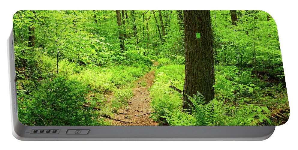 Dwg Dunnfield Creek Spring Green And Trail Blaze Portable Battery Charger featuring the photograph DWG Dunnfield Creek Spring Green and Trail Blaze by Raymond Salani III