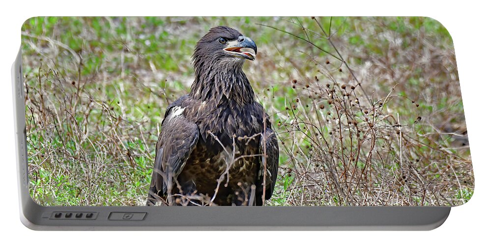 Bald Eagles Portable Battery Charger featuring the photograph E19 fledging adventure by Liz Grindstaff