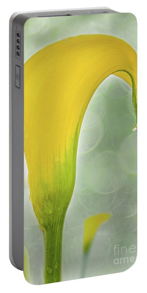 Calla Portable Battery Charger featuring the photograph Each Day Begins Anew by Marilyn Cornwell