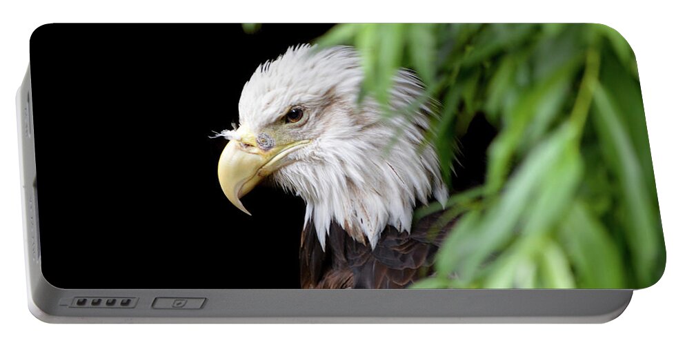 Eagle Portable Battery Charger featuring the photograph Eagle 2 by Deborah M