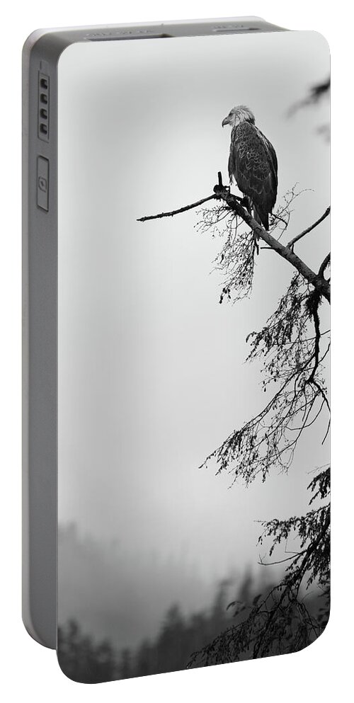  Portable Battery Charger featuring the photograph Eagle Black and White by Michael Rauwolf