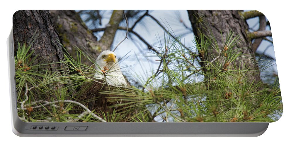 Eagle Portable Battery Charger featuring the photograph Eagle Eyes by Steph Gabler