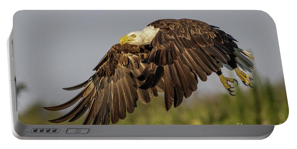 Wagle Portable Battery Charger featuring the photograph Eagle Flying Low by Tom Claud
