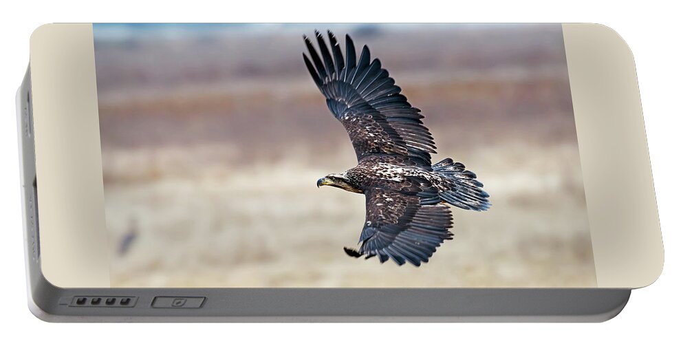 Eagle Portable Battery Charger featuring the photograph Eagle in flight by Terry Dadswell