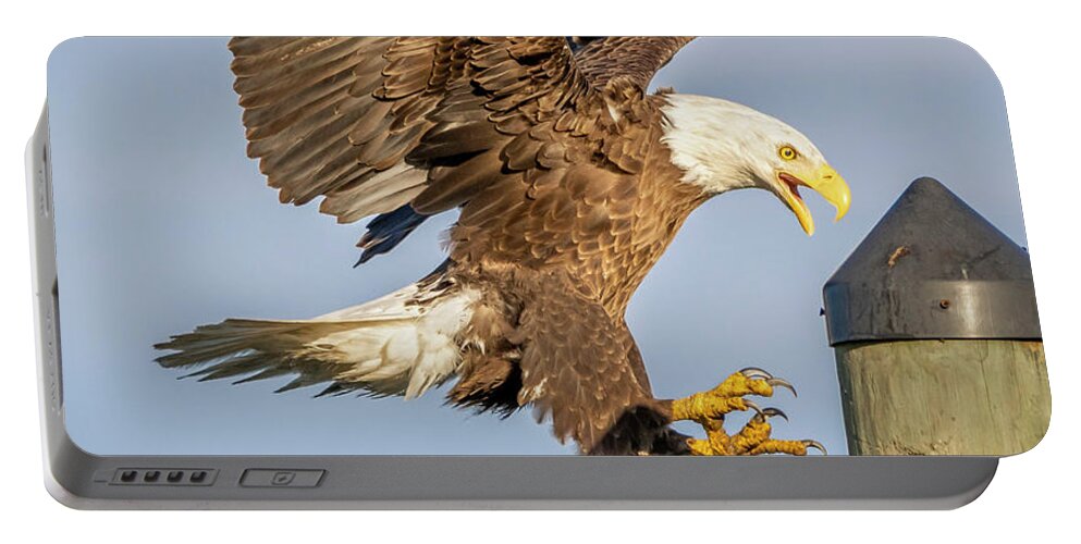 Eagle Portable Battery Charger featuring the photograph Eagle Landing Approach by Tom Claud