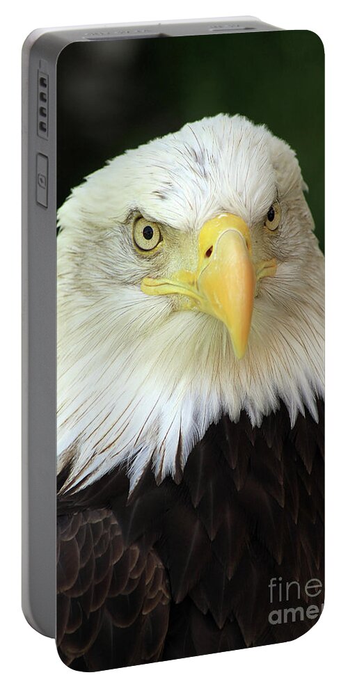 Eagle Portable Battery Charger featuring the photograph Eagle by Paula Guttilla