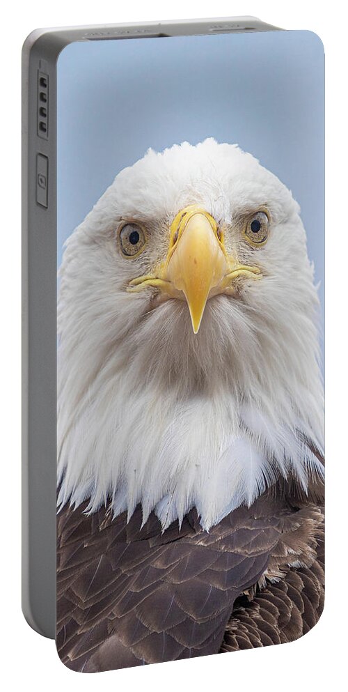 Eagle Portable Battery Charger featuring the photograph Eagle Stare by Michael Rauwolf