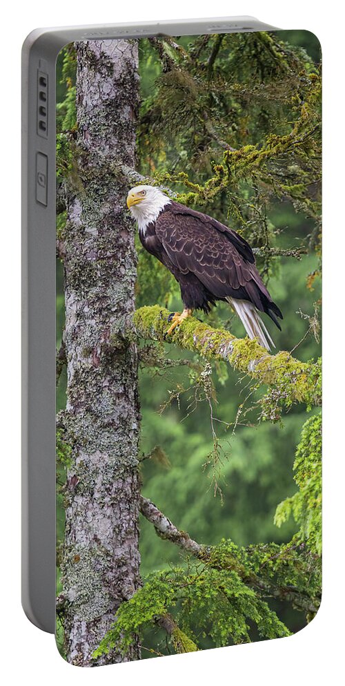 Eagle Portable Battery Charger featuring the photograph Eagle Tree by Michael Rauwolf