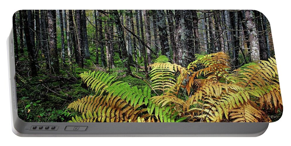 Nature Portable Battery Charger featuring the photograph Early Fall Ferns on the Trail by Ronald Lutz