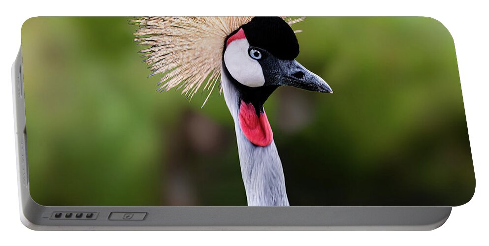 East African Crowned Crane Portable Battery Charger featuring the photograph East african Crowned Crane 001 by Flees Photos