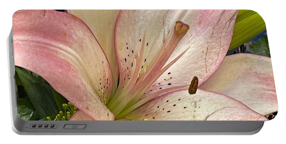 Photograph Flower Lily Easter Pink Portable Battery Charger featuring the photograph Easter Lily by Beverly Read