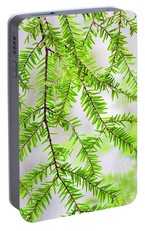 Tree Portable Battery Charger featuring the photograph Eastern Hemlock Tree Abstract by Christina Rollo