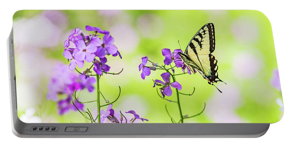 Animals Portable Battery Charger featuring the photograph Eastern Tiger Swallowtail Butterfly 6 - Nature Photography by Amelia Pearn