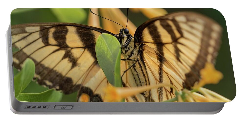 Eastern Portable Battery Charger featuring the photograph Eastern Tiger Swallowtail in the Honeysuckle by Liza Eckardt