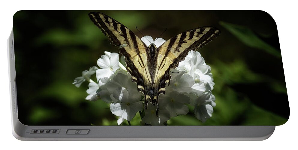 Eastern Tiger Swallowtail Portable Battery Charger featuring the photograph Eastern Tiger Swallowtail on a White Flower by Belinda Greb
