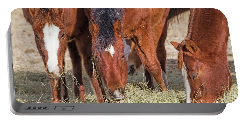 Horses Portable Battery Charger featuring the photograph Eat Some Wear Some by Alana Thrower