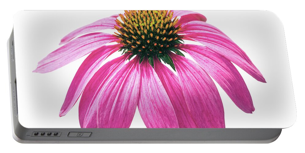 Coneflower Portable Battery Charger featuring the photograph Echinacea #1 by Tanya C Smith