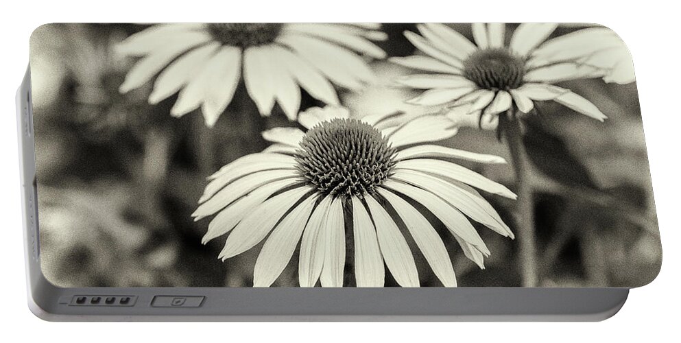 Black And White Flowers Portable Battery Charger featuring the photograph Echinacea Black And White by Tanya C Smith
