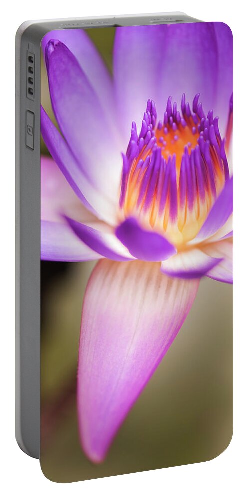 Floral Portable Battery Charger featuring the photograph Effervescence by Usha Peddamatham