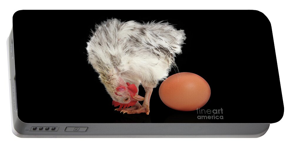 Serama Chicken Portable Battery Charger featuring the photograph Eggstraordinary too by Warren Photographic