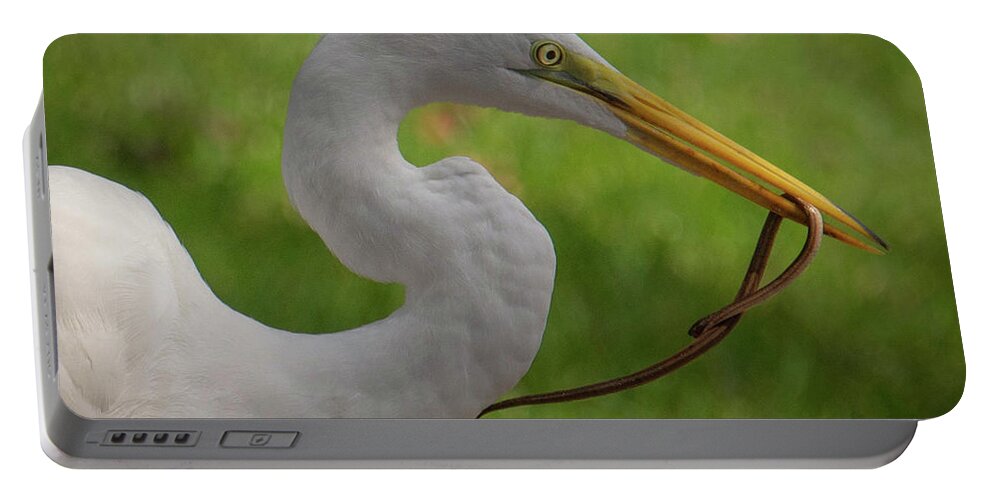 Nature Portable Battery Charger featuring the photograph Egret capture by Barry Bohn