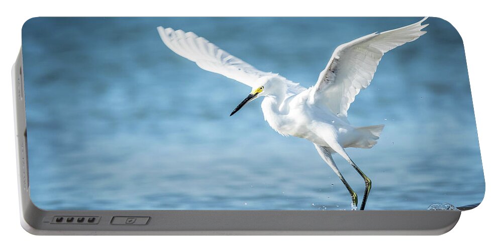 Egret Portable Battery Charger featuring the photograph Egret in Bonita Spring Beach by George Kenhan