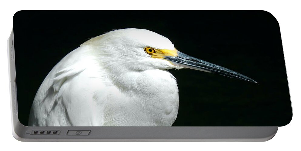 Egret Portable Battery Charger featuring the photograph Egret Profile by Beth Myer Photography