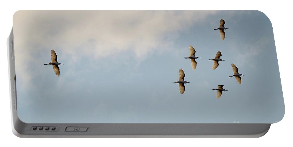Egrets Portable Battery Charger featuring the photograph Egrets overhead. by Alyssa Tumale