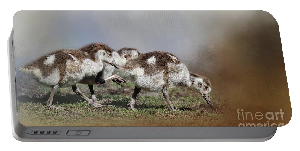 Egyptian Geese Portable Battery Charger featuring the photograph Egyptian Geese Kids by Eva Lechner