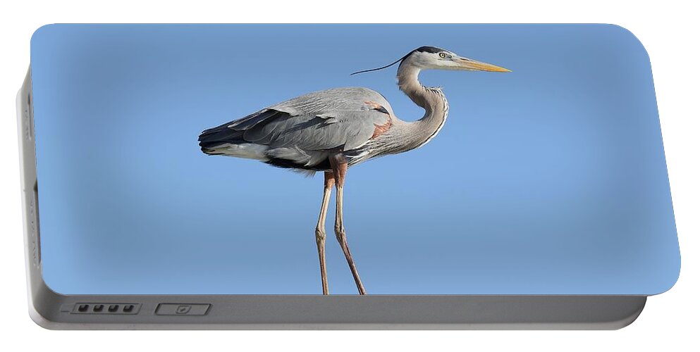 Great Blue Heron Portable Battery Charger featuring the photograph Elegant Great Blue Heron by Mingming Jiang