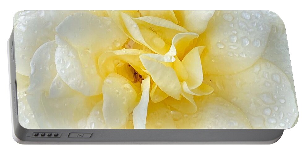 Macro Portable Battery Charger featuring the photograph Elegant White Rose by Jerry Abbott