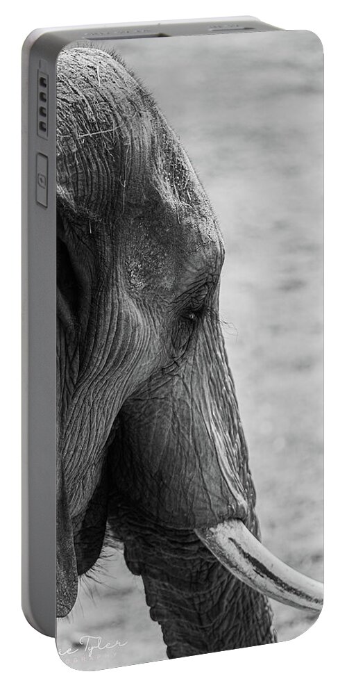 Elephant Portable Battery Charger featuring the photograph Elephant by Jamie Tyler