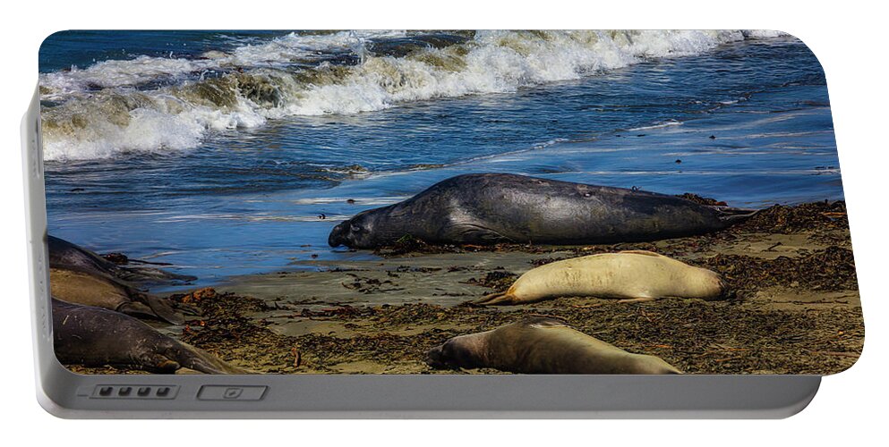 Elephant Portable Battery Charger featuring the photograph Elephant Seal Sunning On The Beach by Garry Gay