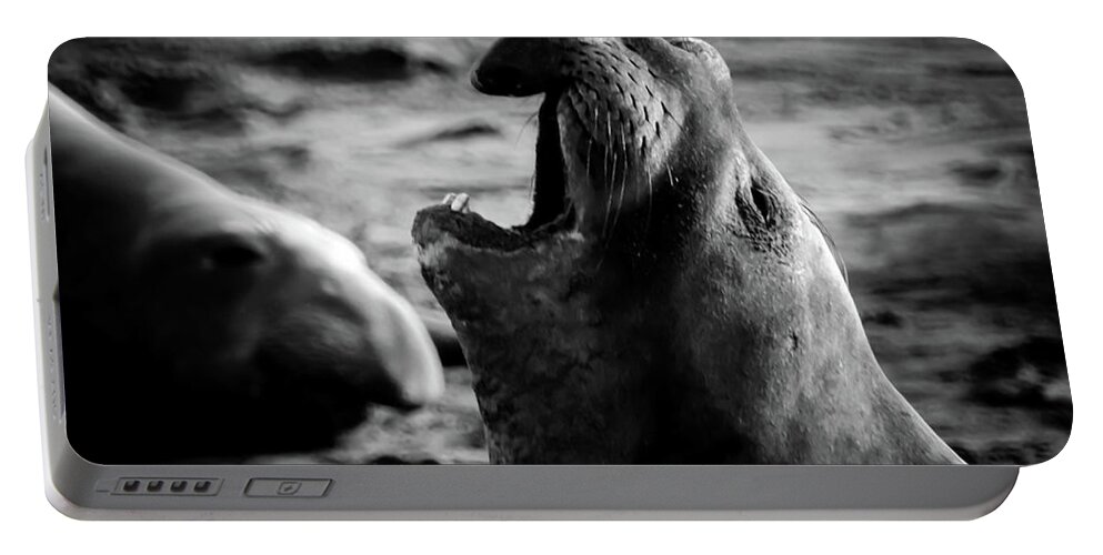  Portable Battery Charger featuring the photograph Elephant Seals at Limekilm, Ca by Dr Janine Williams