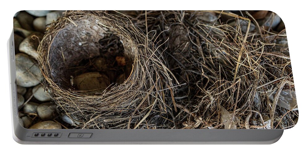 Animals Portable Battery Charger featuring the photograph Empty Nest - Wildlife Photography 2 by Amelia Pearn