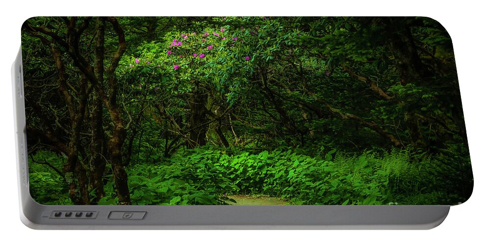 Rhododendron Portable Battery Charger featuring the photograph Enchanted Forest at Roan Mountain by Shelia Hunt