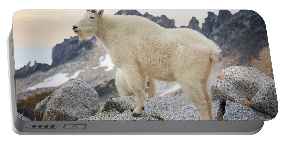 Alpine Lakes Wilderness Portable Battery Charger featuring the photograph Enchantment Goat by Inge Johnsson