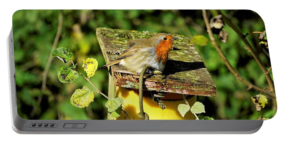 Robin Portable Battery Charger featuring the photograph English Robin On A Birdhouse by Tranquil Light Photography