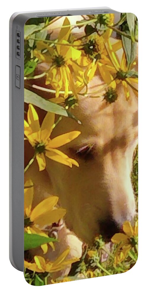 Dog Portable Battery Charger featuring the photograph Enjoying Nature by Kim Galluzzo Wozniak