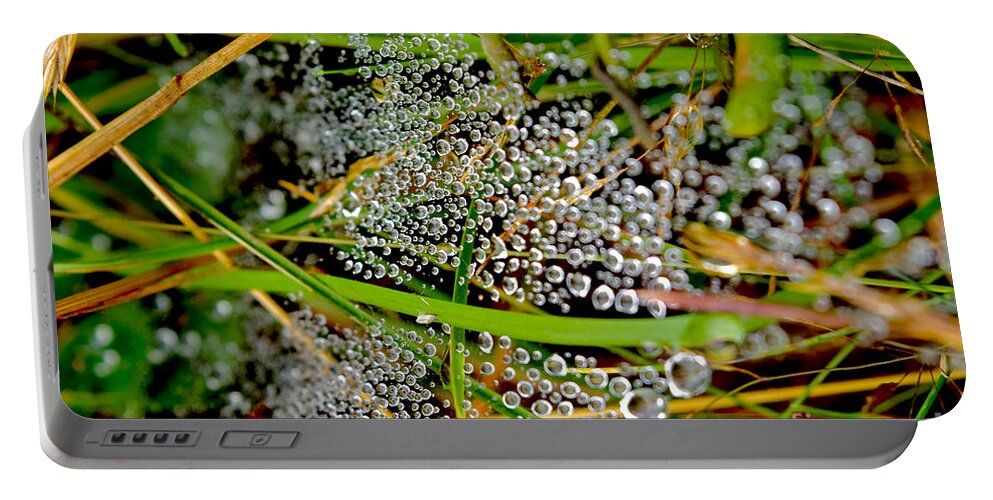 Dewdrops Portable Battery Charger featuring the photograph Ephemeral Dewdrops on Cobwebs by Debra Banks