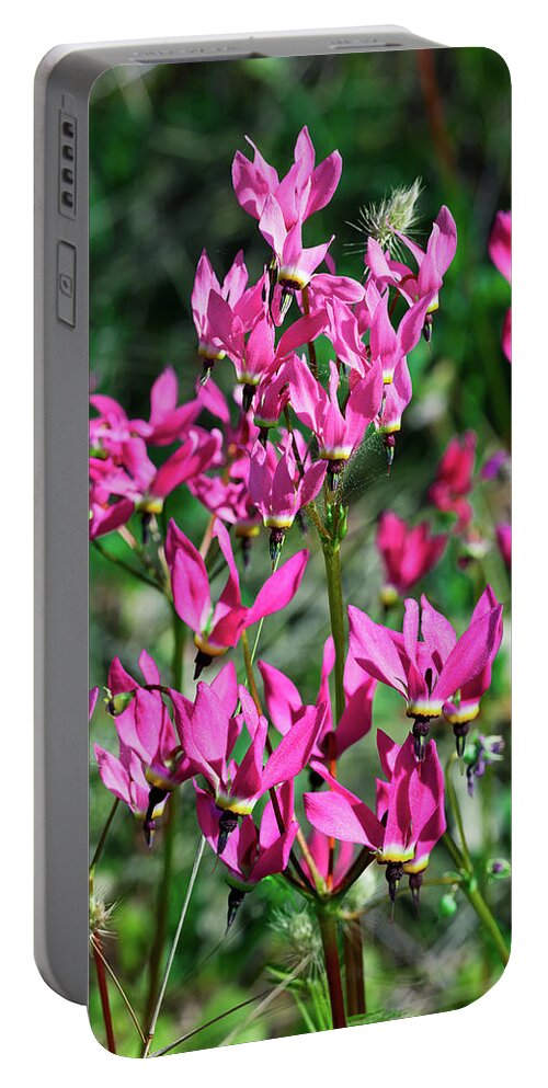 Shooting Stars Portable Battery Charger featuring the photograph Ephemeral Shooting Stars in Pink by Kathleen Bishop
