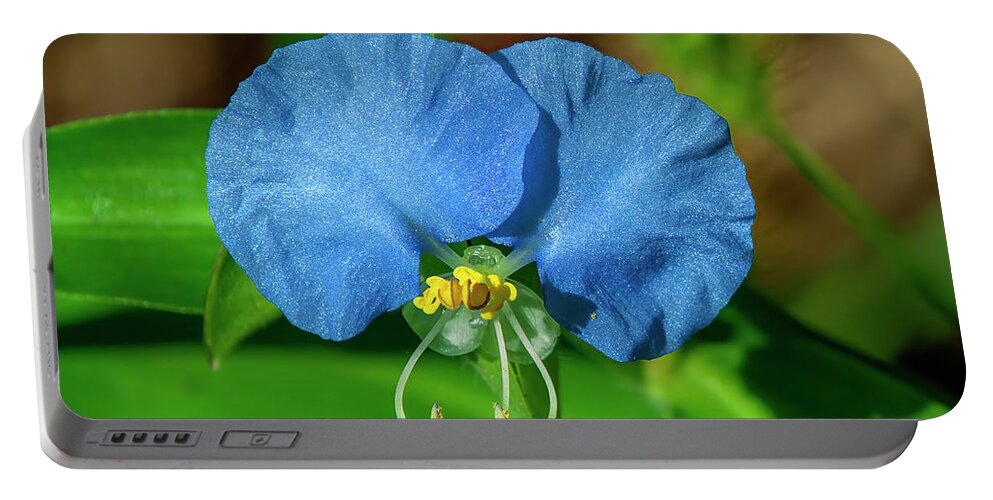 Spiderwort Family Portable Battery Charger featuring the photograph Erect Dayflower DFL1219 by Gerry Gantt