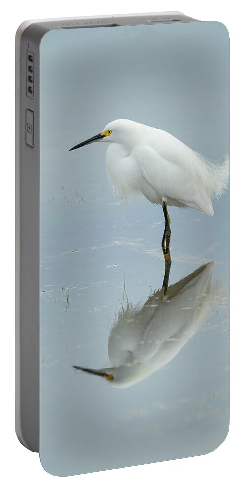 Egret Portable Battery Charger featuring the photograph Ethereal Egret by Fran Gallogly