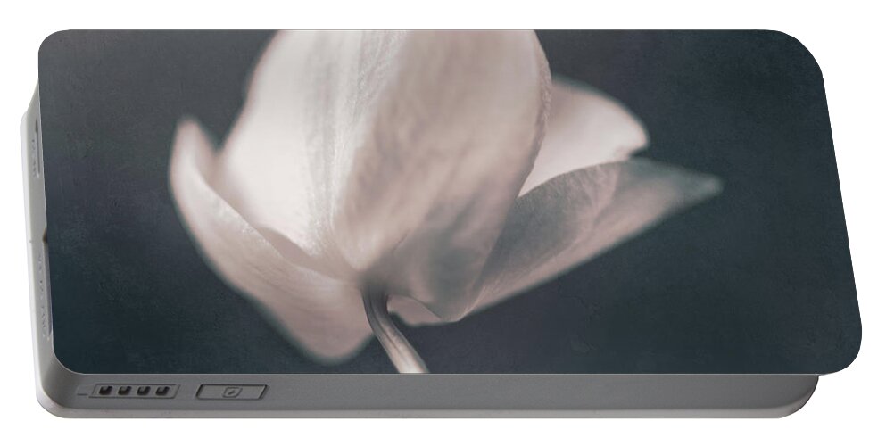 Flower Portable Battery Charger featuring the photograph Ethereal by Scott Norris
