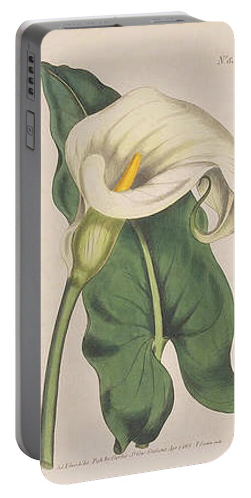 Botanical Prints Portable Battery Charger featuring the digital art Ethiopian Calla by Kim Kent