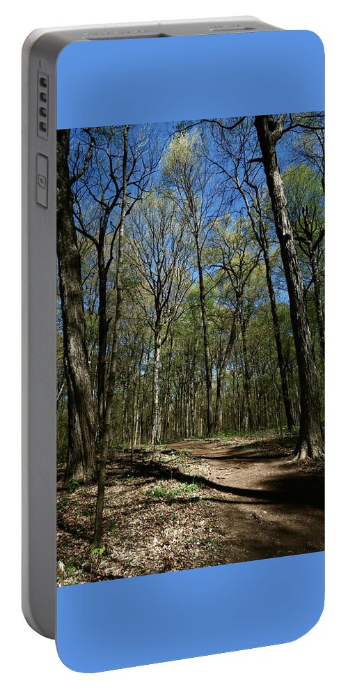 Trees Portable Battery Charger featuring the photograph Evening Woods Walk by Ann Horn